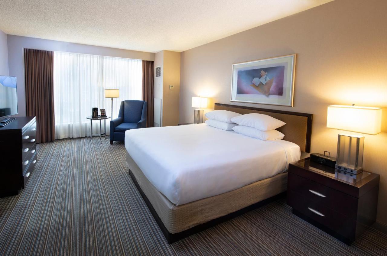 King Room - Disability Access,1206089515:JPEG